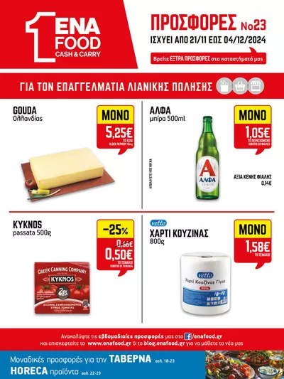 Κατάλογος ENA Cash & Carry σε Ζαγόρι | 15νθήμερο Έντυπο Προσφορών | 22/11/2024 - 6/12/2024